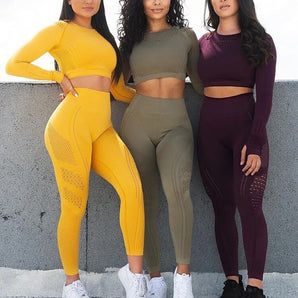 Seamless yoga gym suit